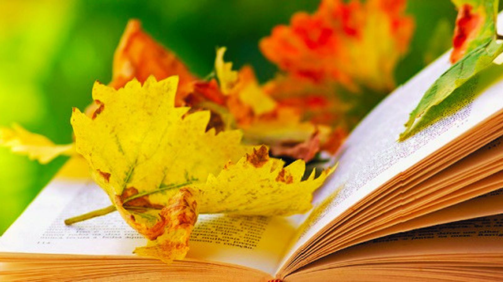 trasformiamo i pensieri in libri(2)